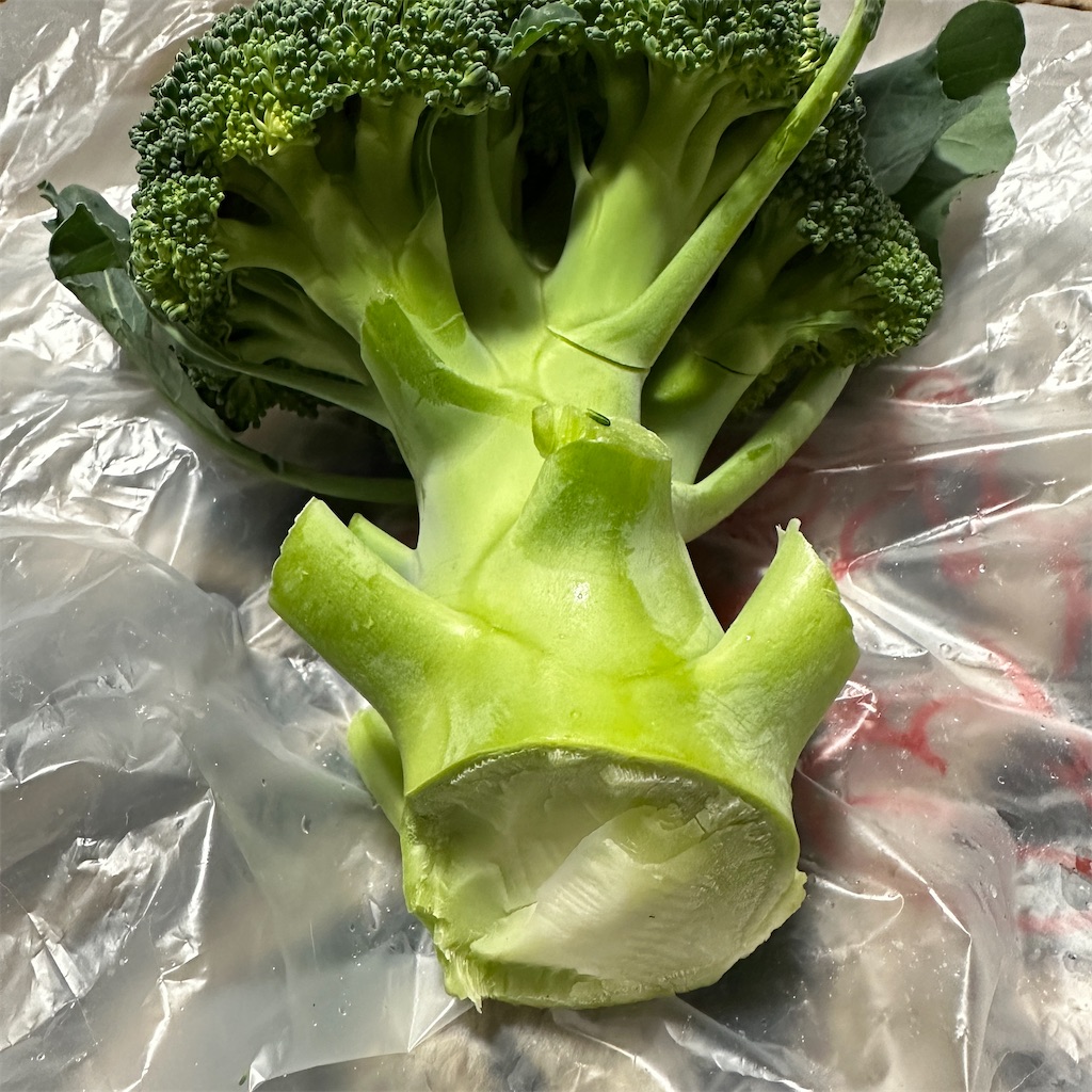 f:id:keikostyle:20231223092818j:image