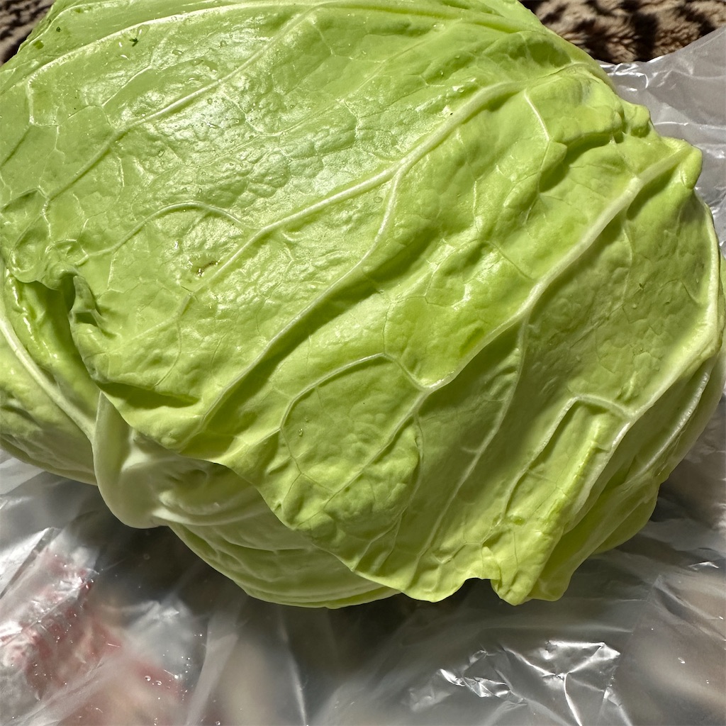 f:id:keikostyle:20231223092821j:image