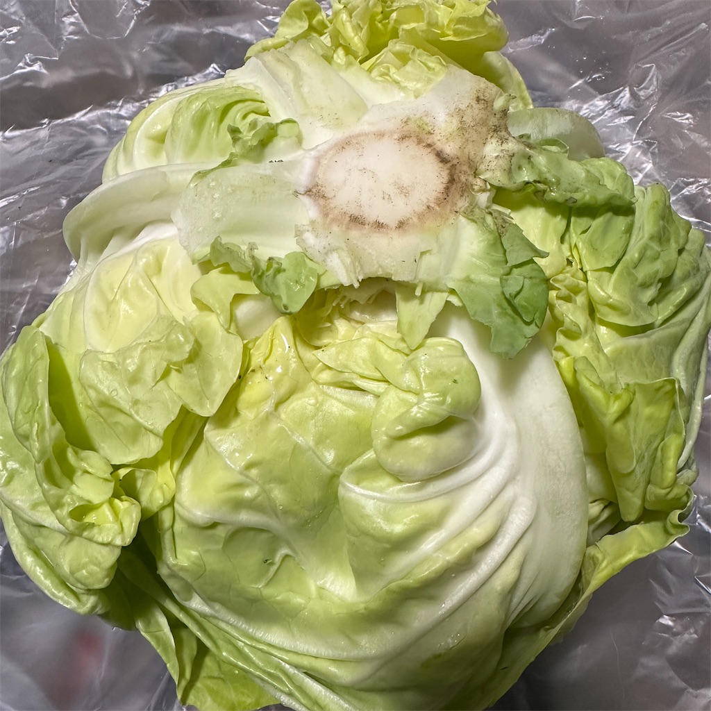 f:id:keikostyle:20231223092831j:image