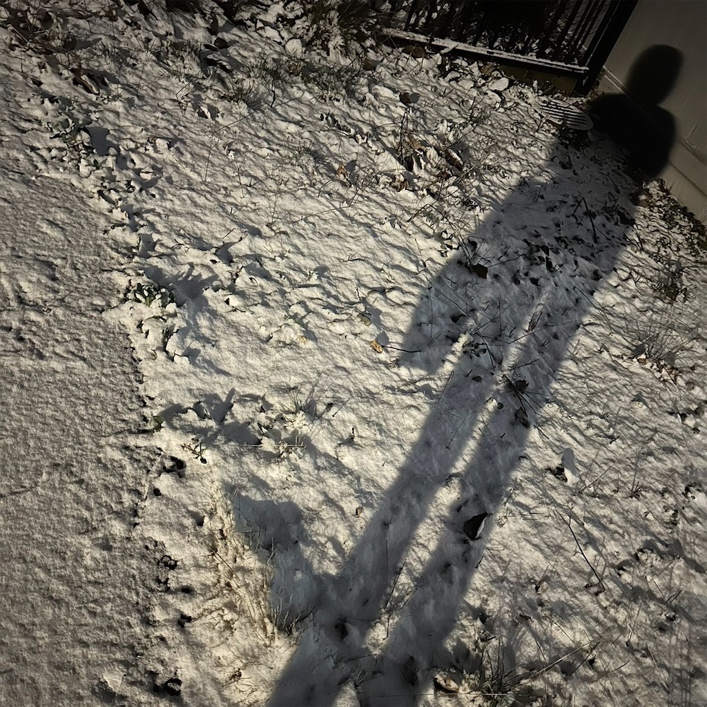 f:id:keikostyle:20240114133024j:image