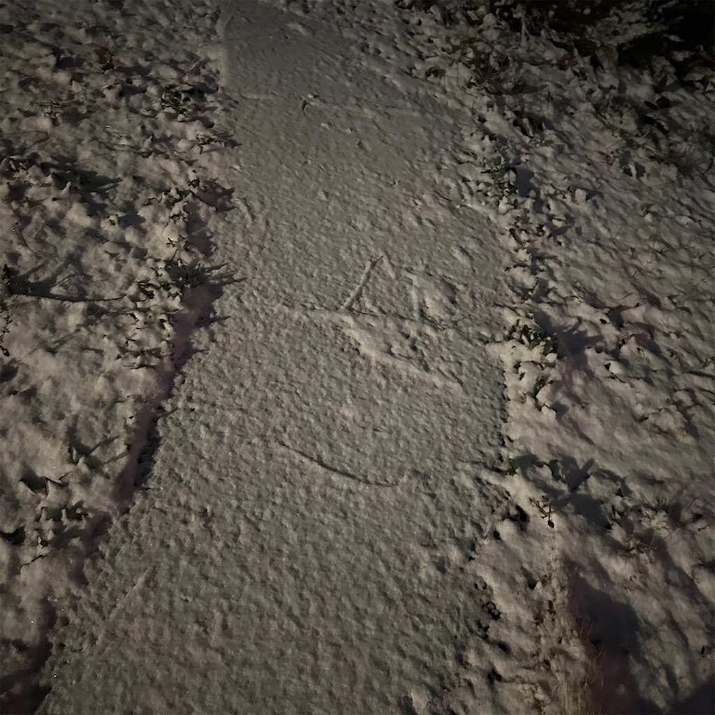 f:id:keikostyle:20240114133051j:image