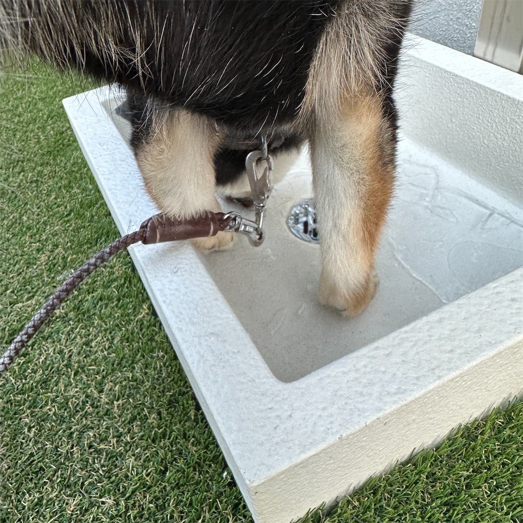 f:id:keikostyle:20240124123304j:image