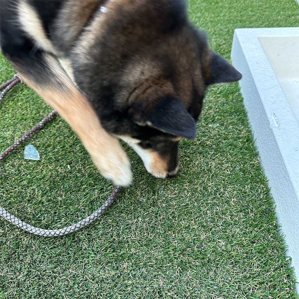 f:id:keikostyle:20240124123308j:image