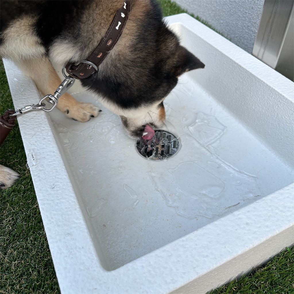 f:id:keikostyle:20240124123311j:image