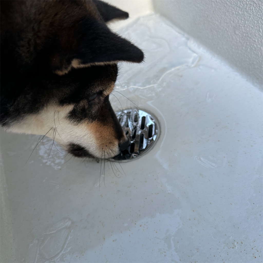 f:id:keikostyle:20240124123314j:image