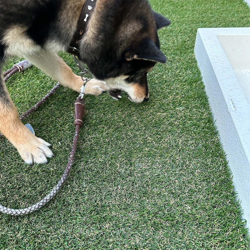 f:id:keikostyle:20240124123318j:image