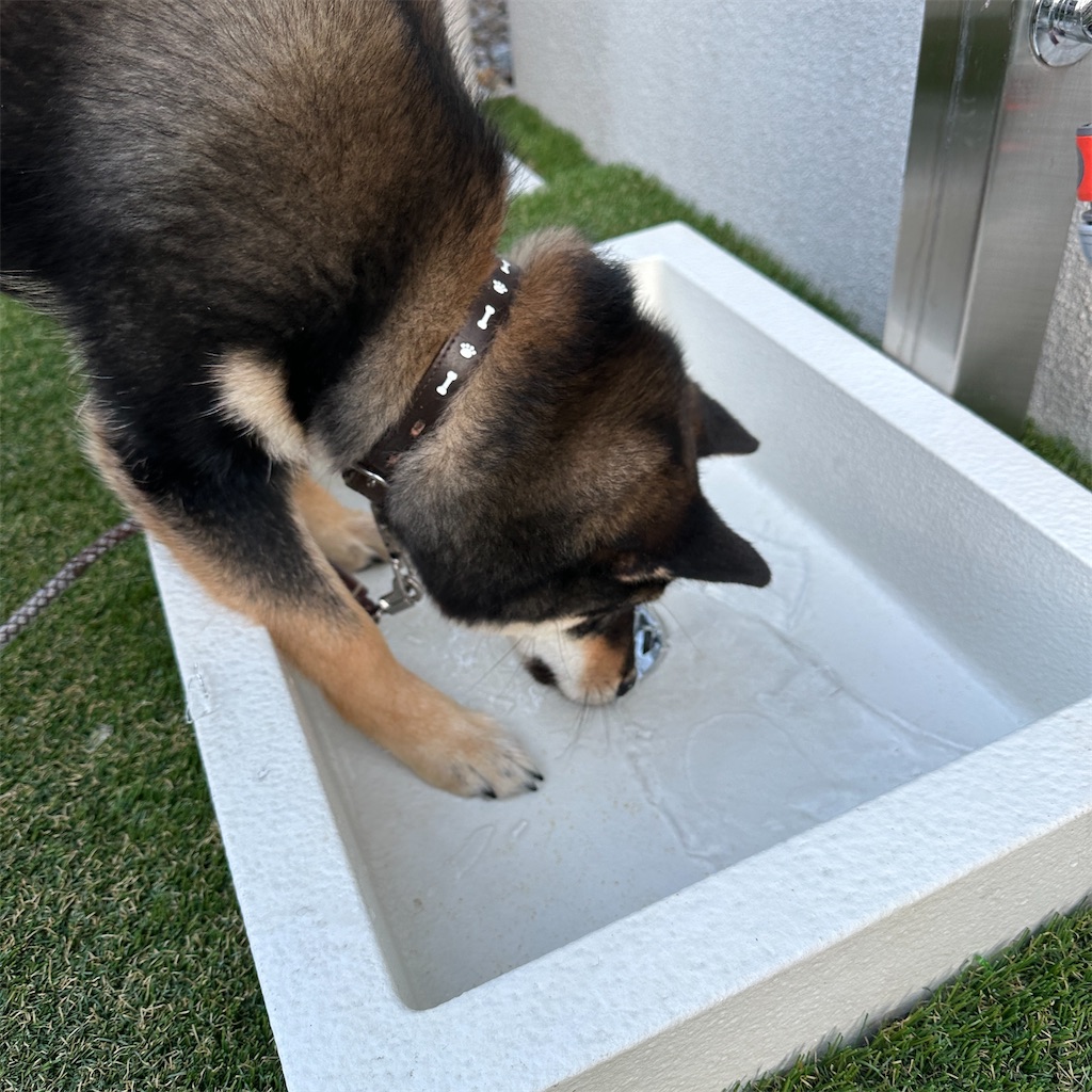 f:id:keikostyle:20240124123325j:image