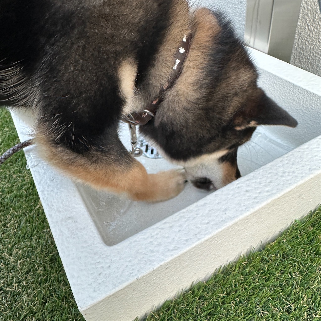 f:id:keikostyle:20240124123331j:image