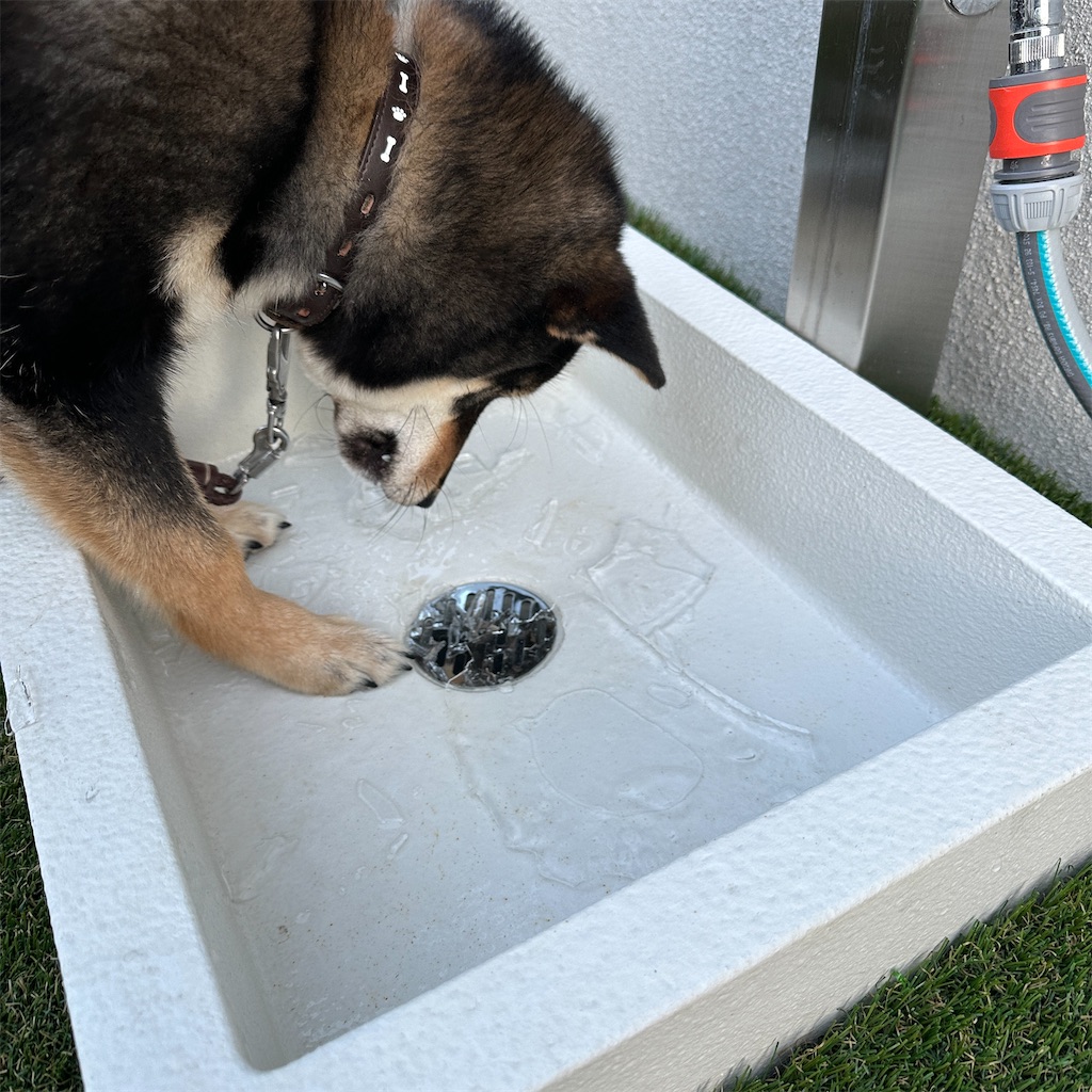 f:id:keikostyle:20240124123334j:image