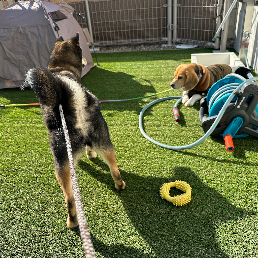 f:id:keikostyle:20240129145141j:image