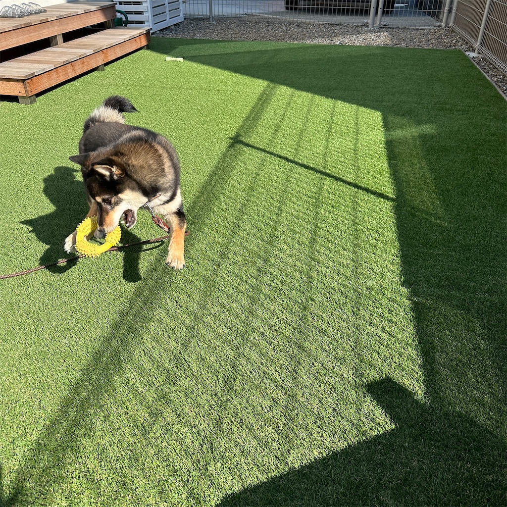 f:id:keikostyle:20240212145000j:image