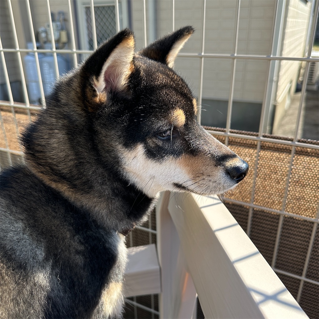 f:id:keikostyle:20240212145003j:image