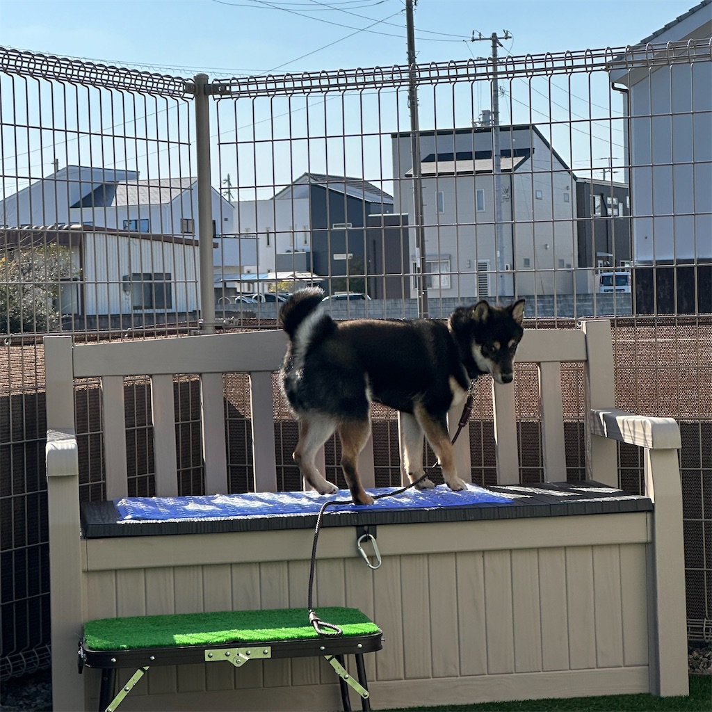 f:id:keikostyle:20240212145056j:image