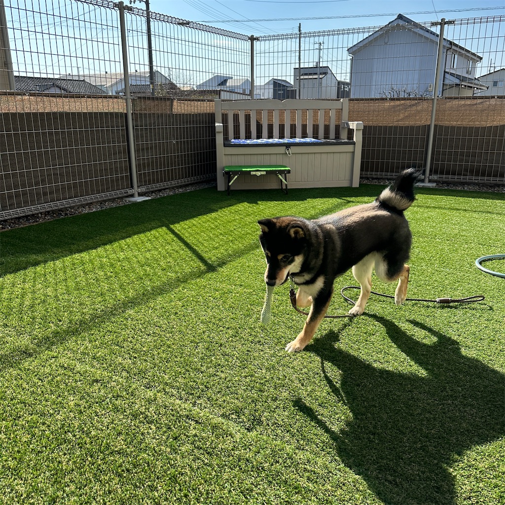 f:id:keikostyle:20240212145311j:image