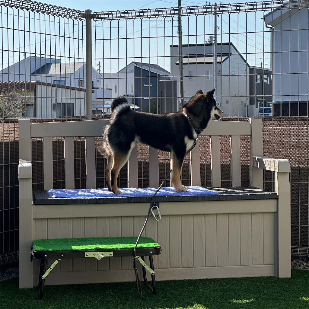 f:id:keikostyle:20240212145314j:image