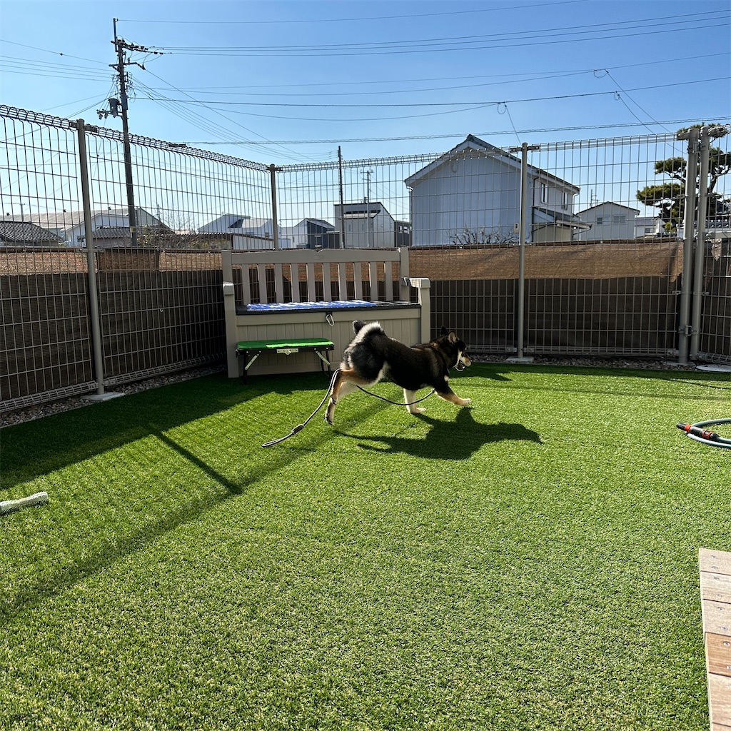 f:id:keikostyle:20240212145318j:image