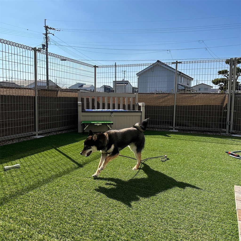 f:id:keikostyle:20240212145321j:image