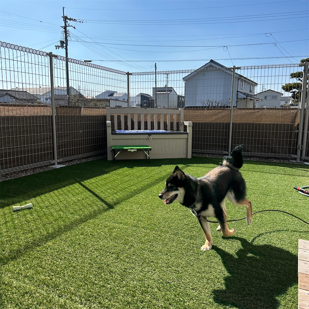 f:id:keikostyle:20240212145324j:image