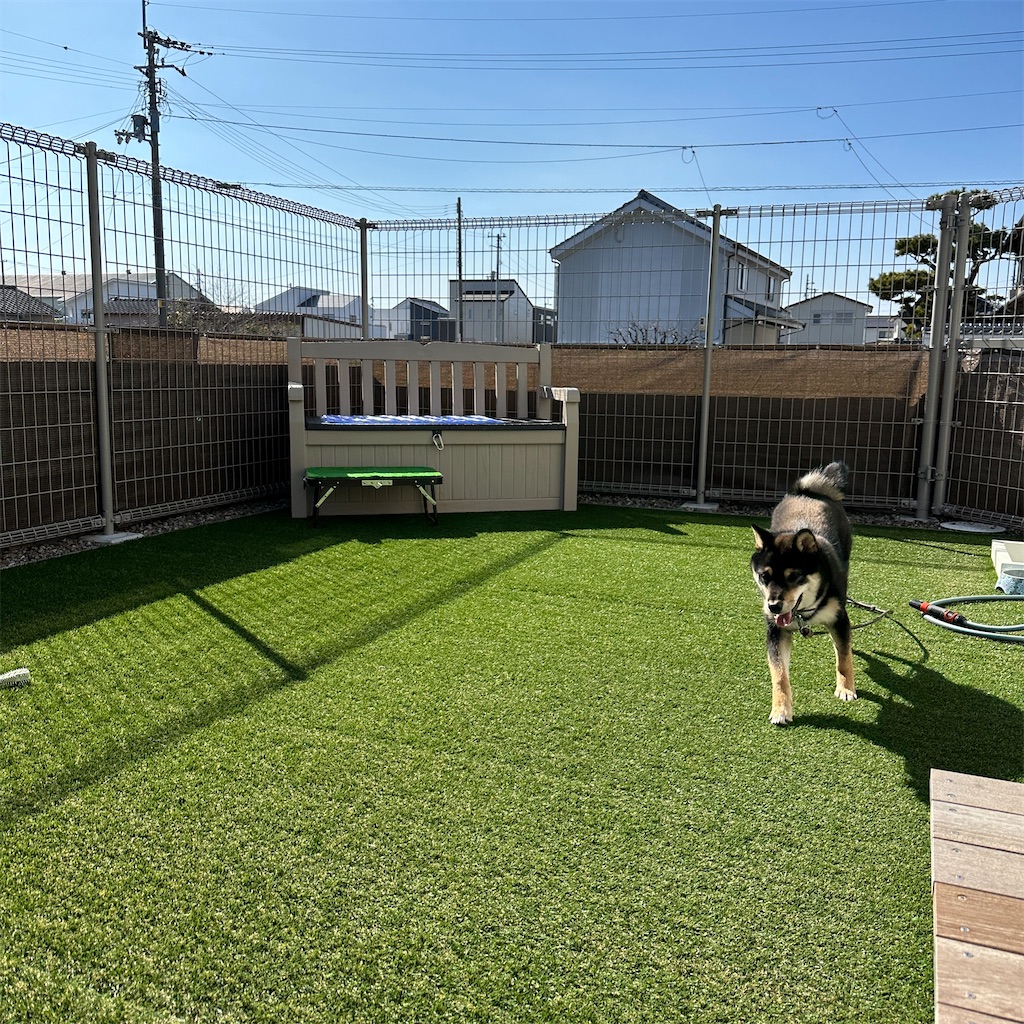 f:id:keikostyle:20240212145331j:image