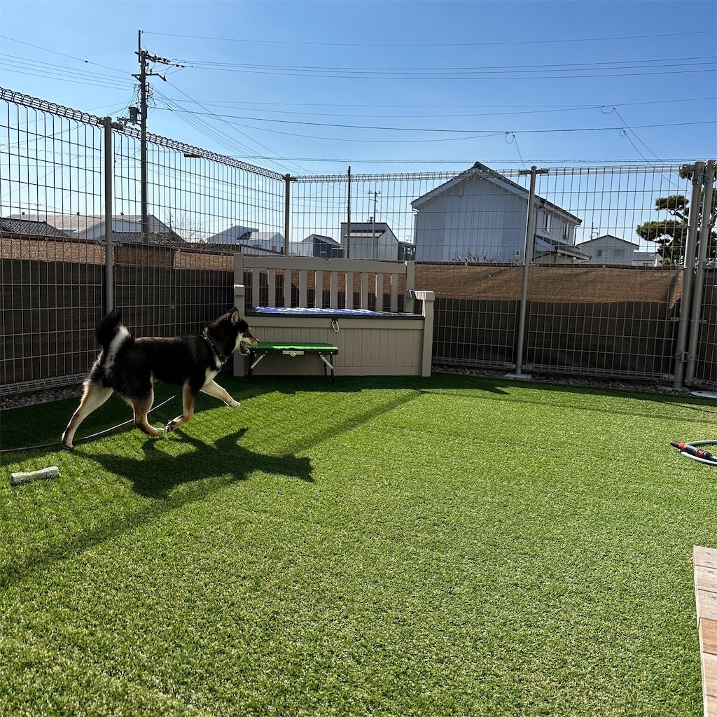 f:id:keikostyle:20240212145341j:image