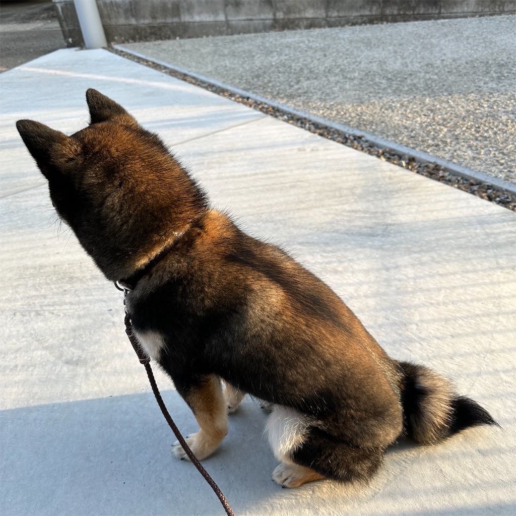 f:id:keikostyle:20240214165624j:image