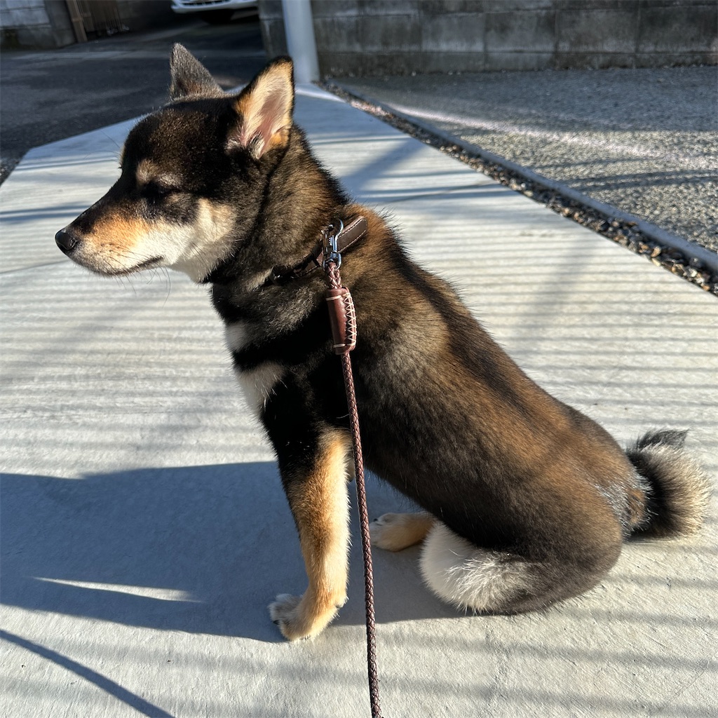 f:id:keikostyle:20240218171447j:image