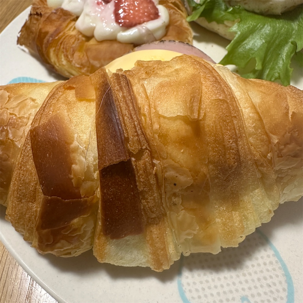 f:id:keikostyle:20240312134916j:image