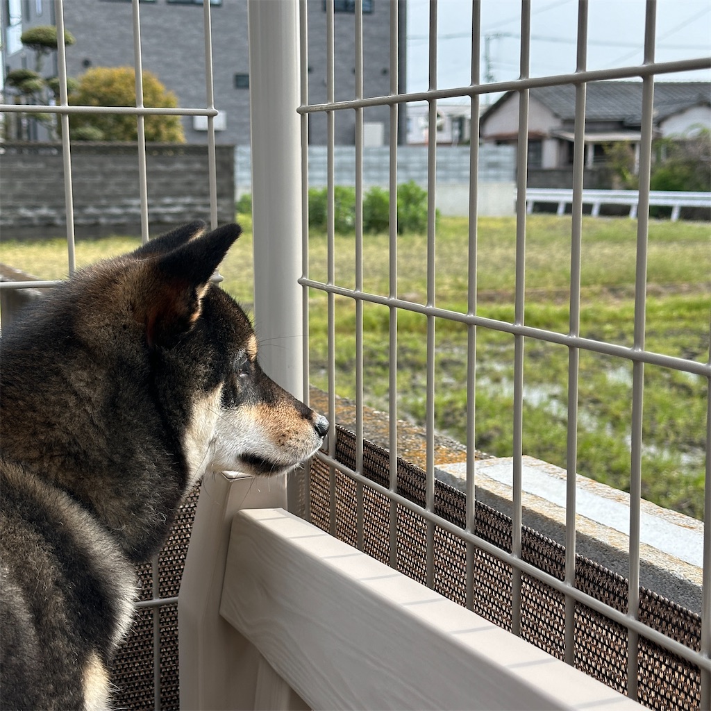 f:id:keikostyle:20240405173717j:image