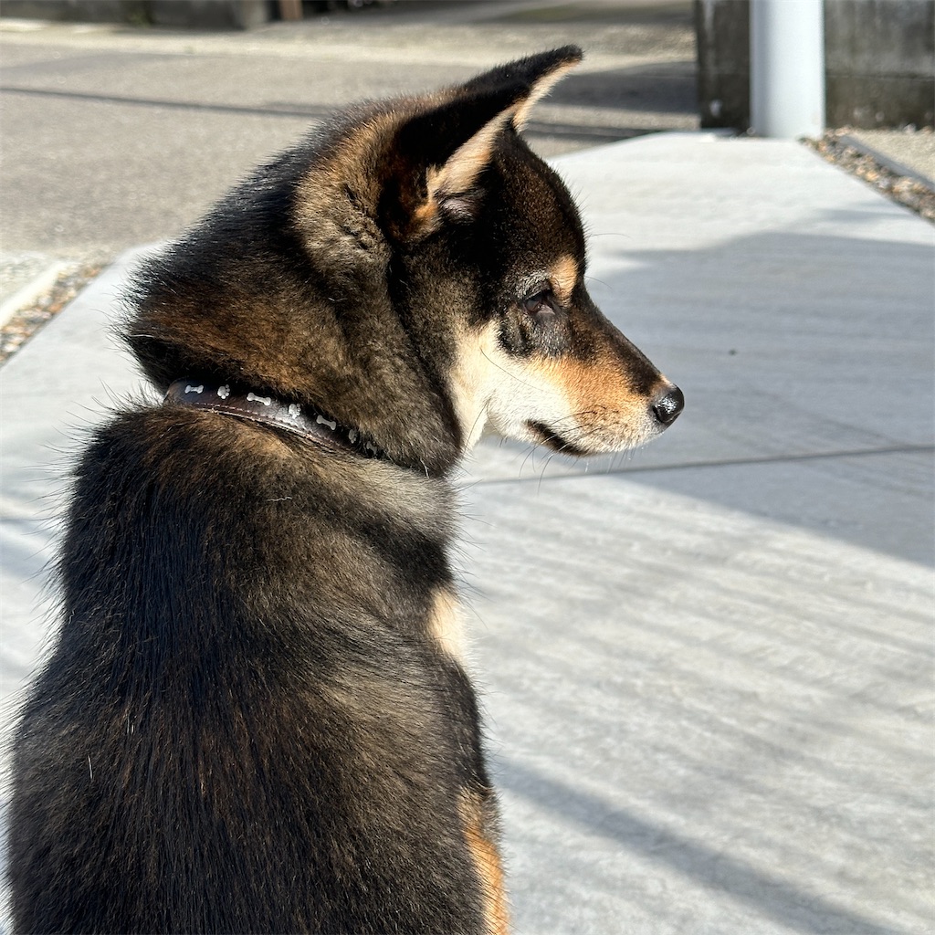 f:id:keikostyle:20240418171352j:image
