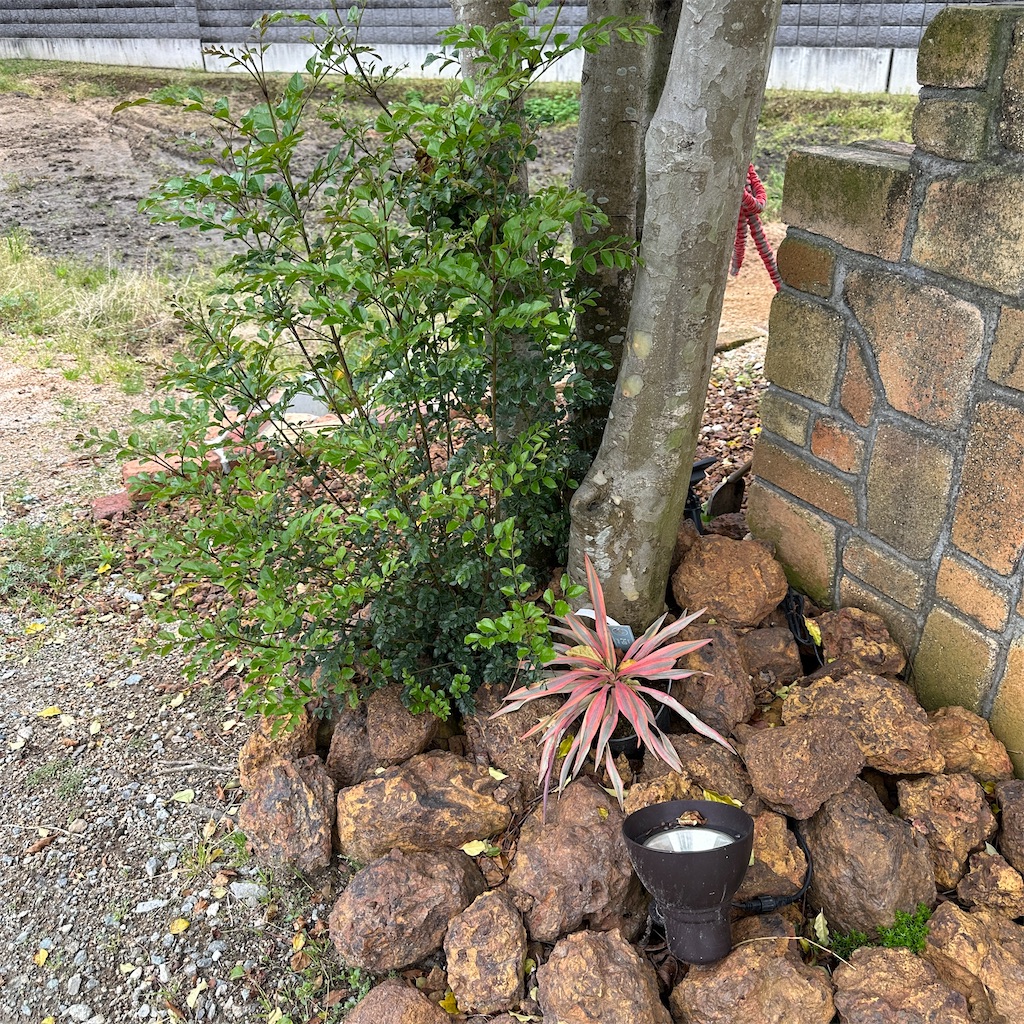 f:id:keikostyle:20240423160620j:image