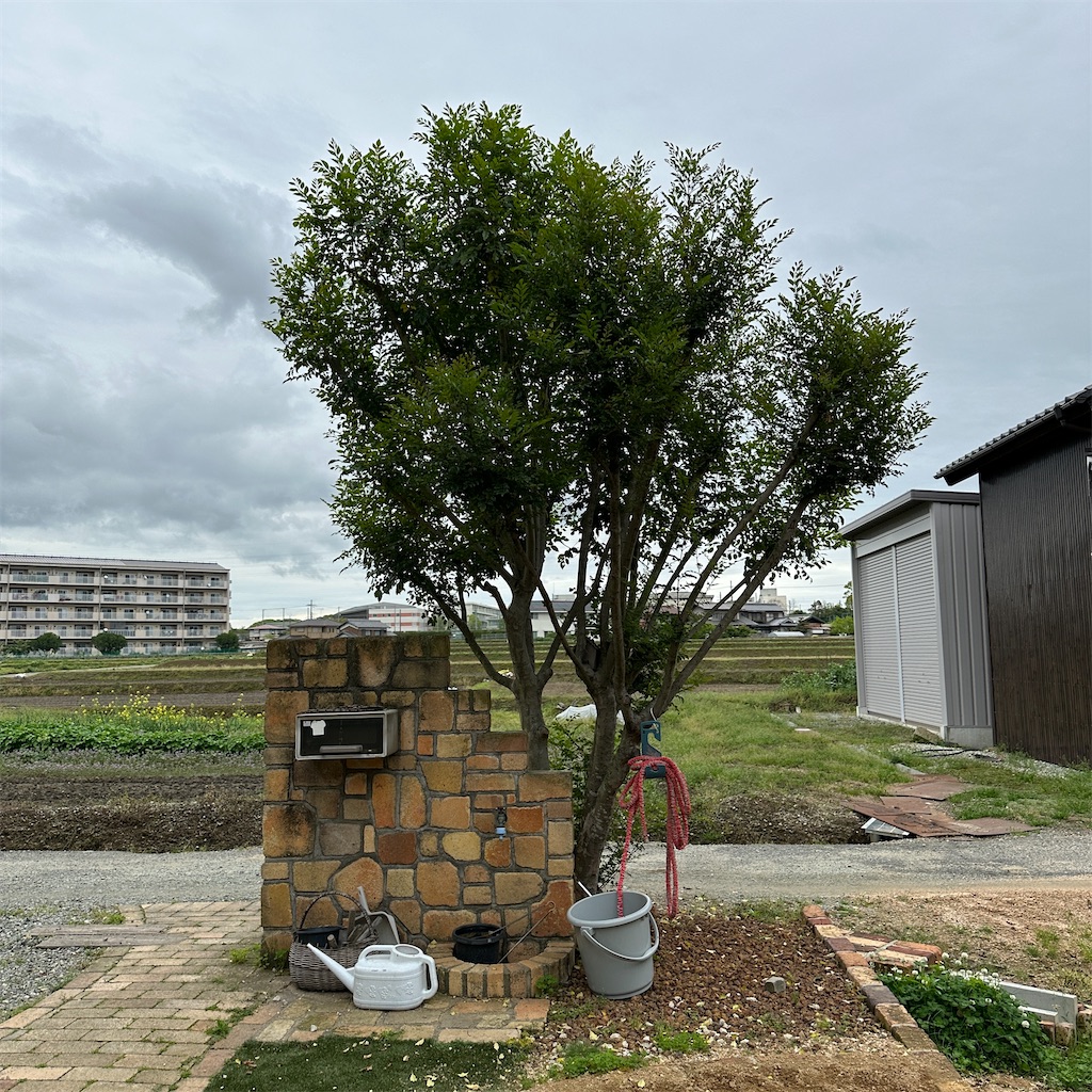 f:id:keikostyle:20240423160704j:image