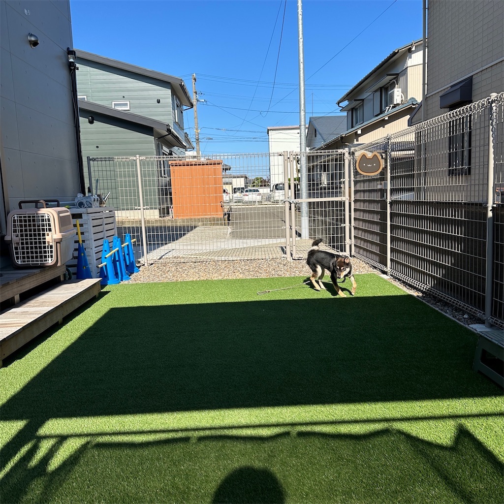 f:id:keikostyle:20240516093933j:image