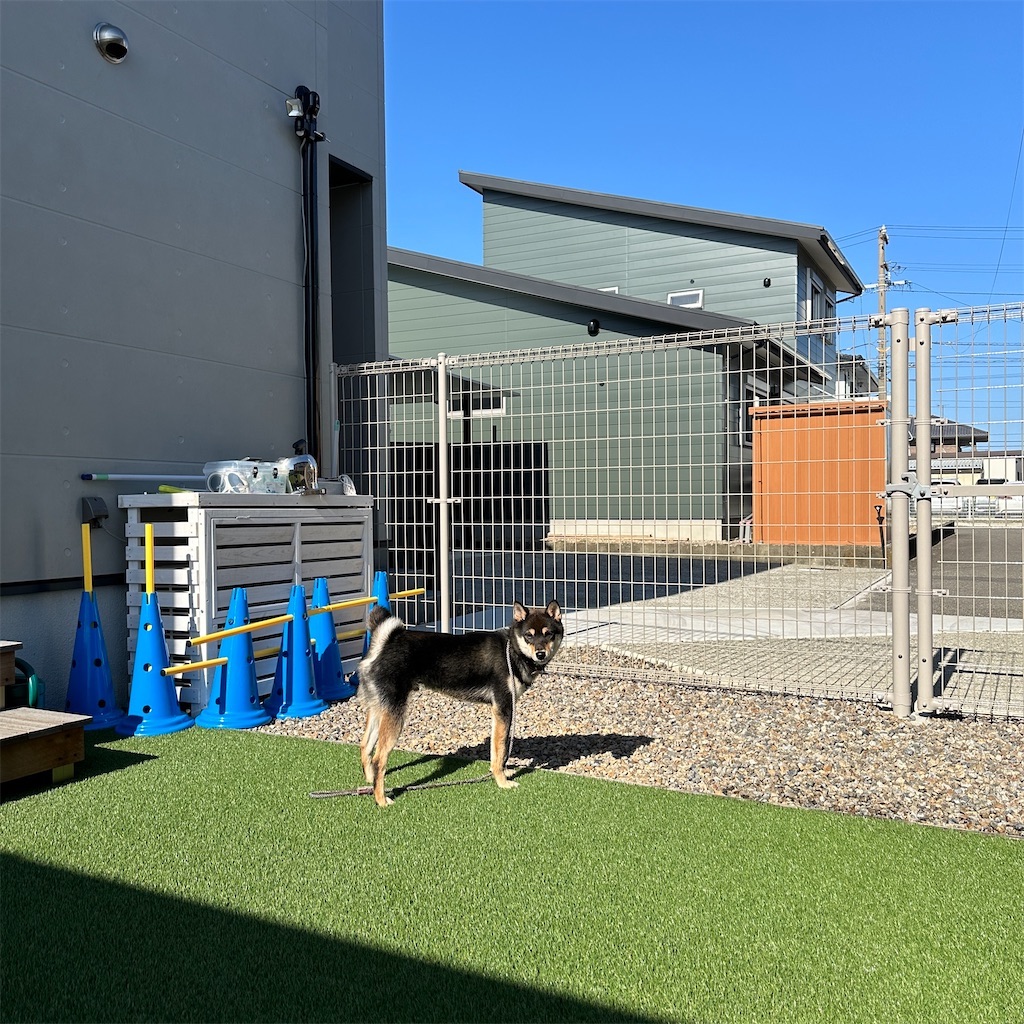 f:id:keikostyle:20240516093936j:image