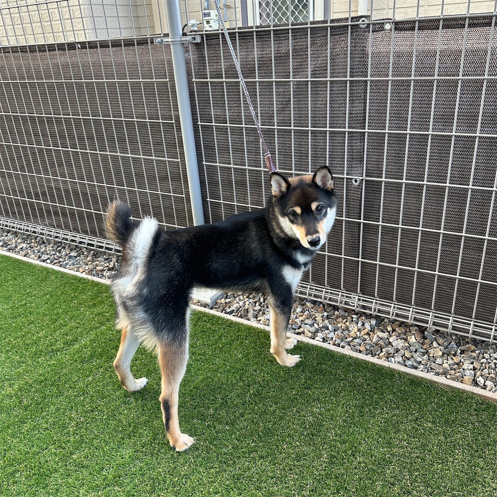 f:id:keikostyle:20240516093938j:image