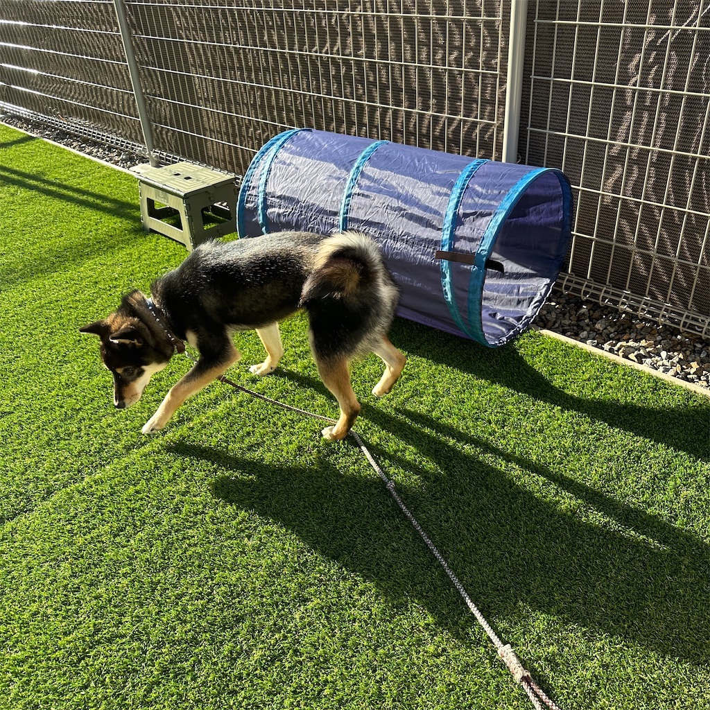 f:id:keikostyle:20240516093943j:image