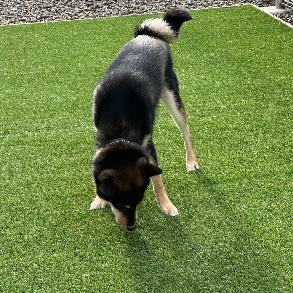 f:id:keikostyle:20240516093948j:image