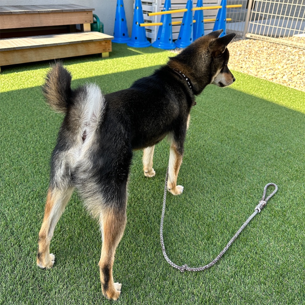 f:id:keikostyle:20240516093951j:image