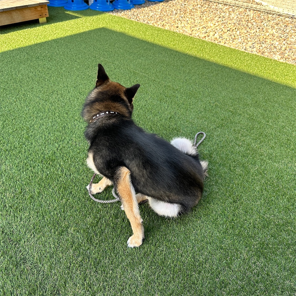 f:id:keikostyle:20240516093953j:image