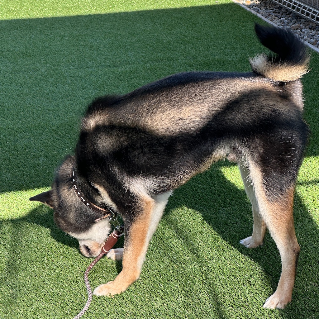 f:id:keikostyle:20240516170442j:image