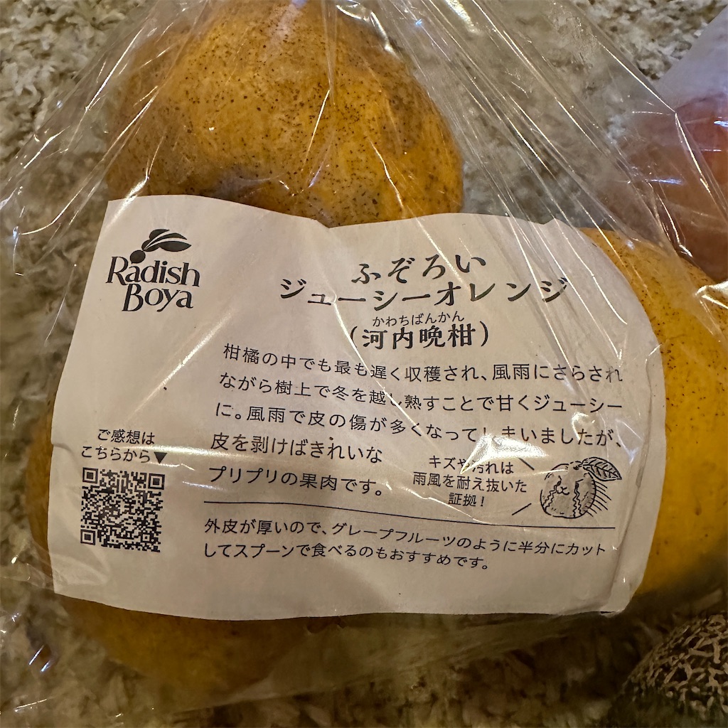 f:id:keikostyle:20240521155026j:image