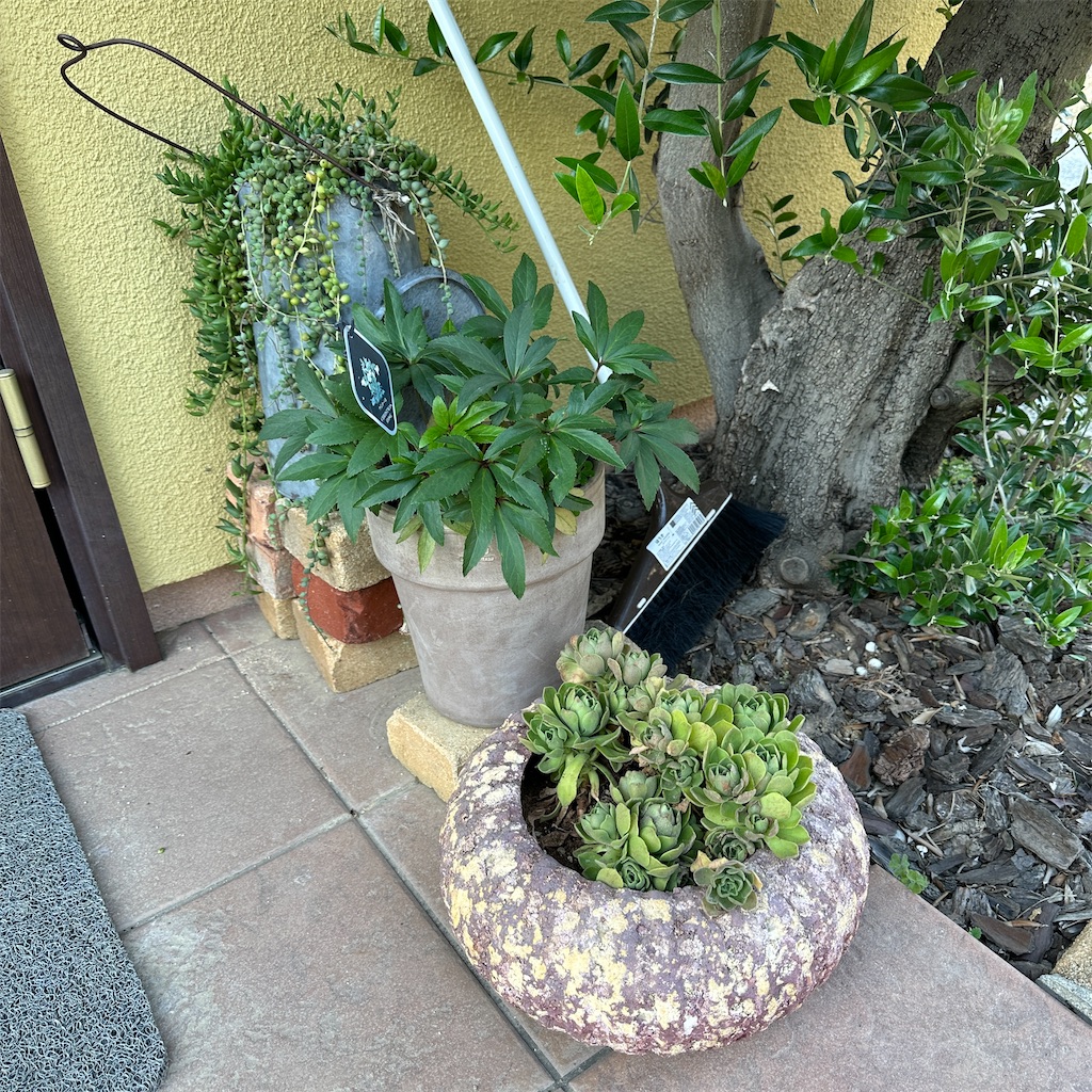 f:id:keikostyle:20240521171032j:image