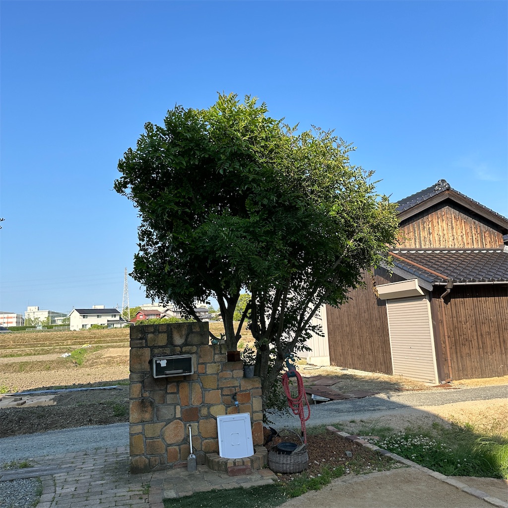 f:id:keikostyle:20240521171043j:image