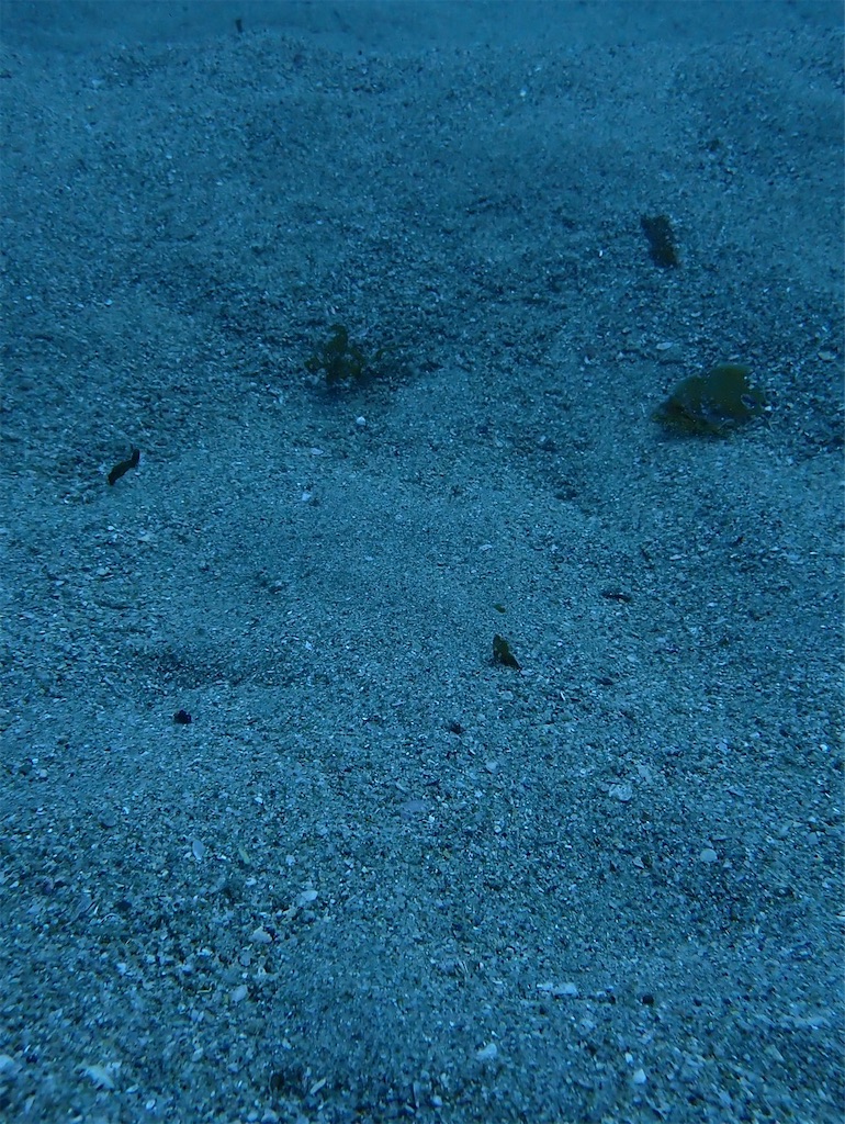 f:id:keikostyle:20240614131345j:image