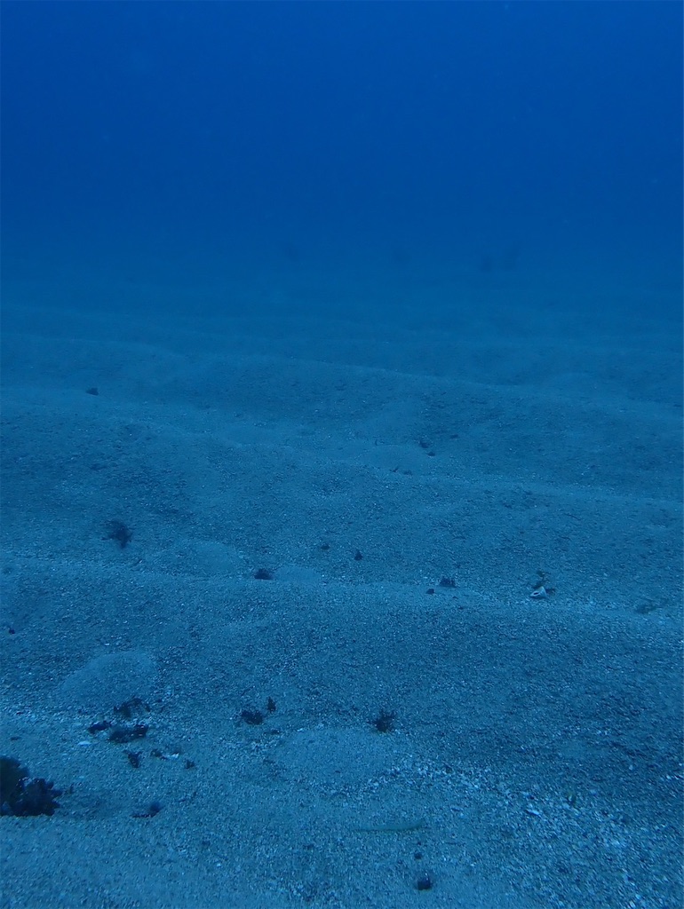 f:id:keikostyle:20240614131351j:image