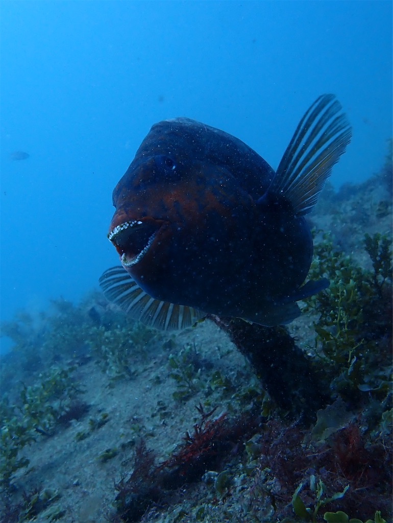 f:id:keikostyle:20240614131354j:image