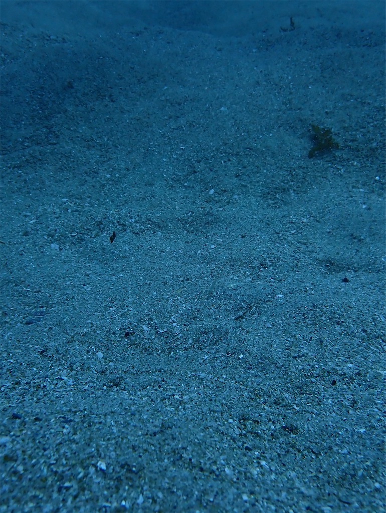 f:id:keikostyle:20240614131359j:image