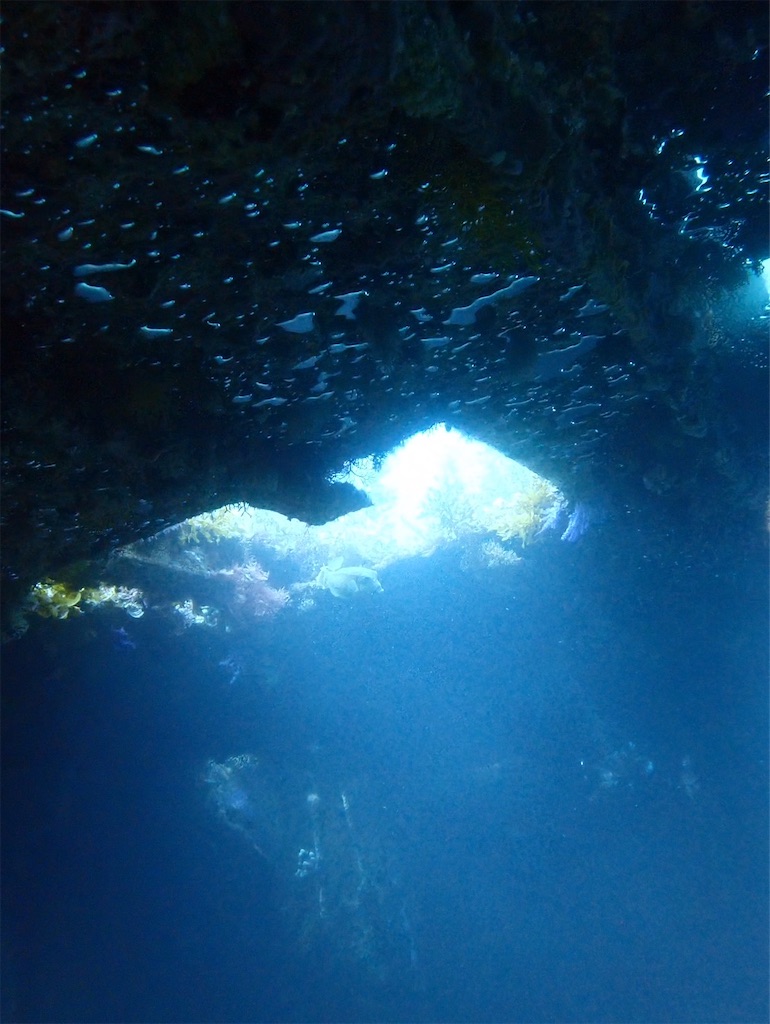 f:id:keikostyle:20240614131402j:image