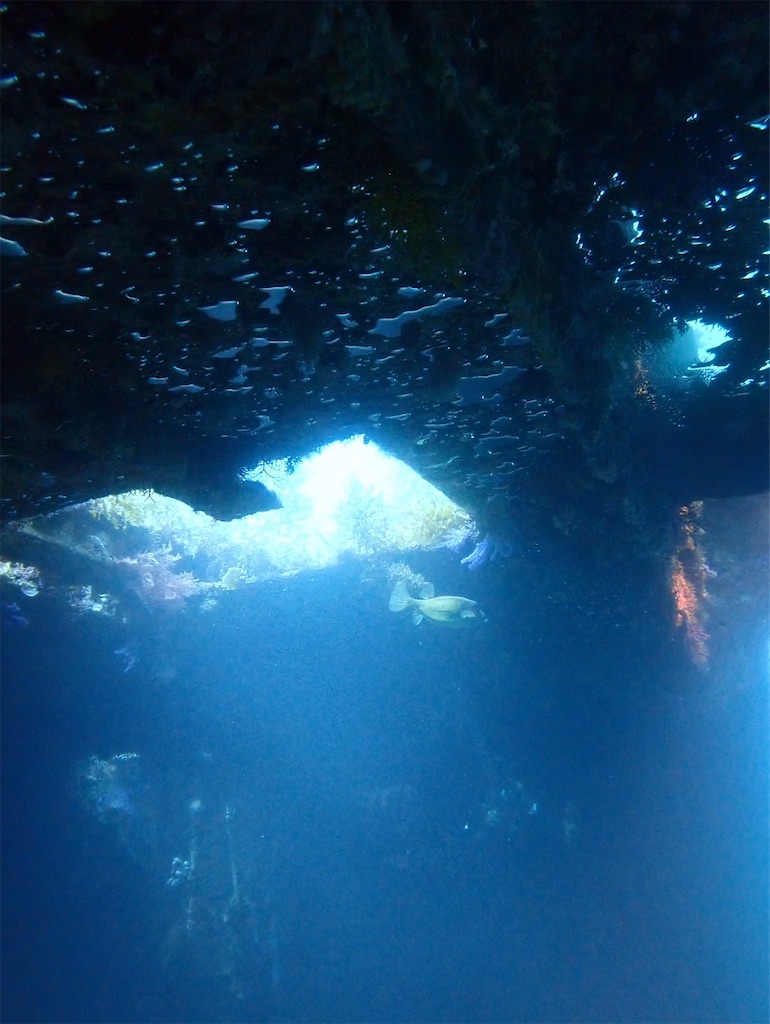 f:id:keikostyle:20240614131409j:image