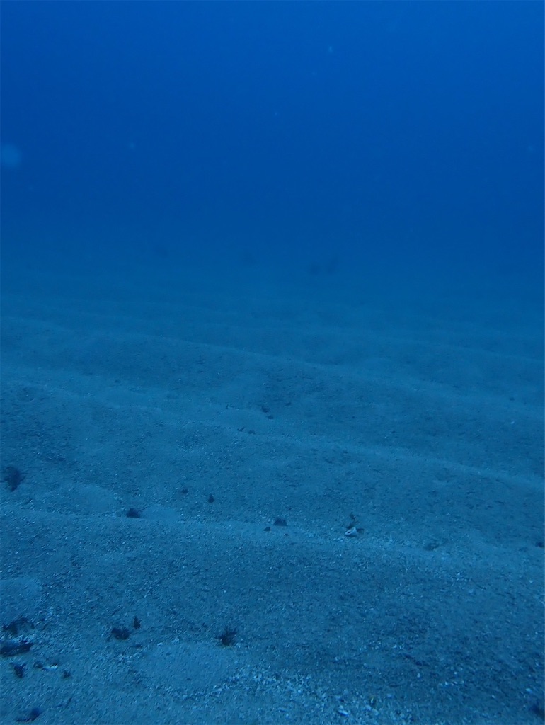 f:id:keikostyle:20240614131412j:image