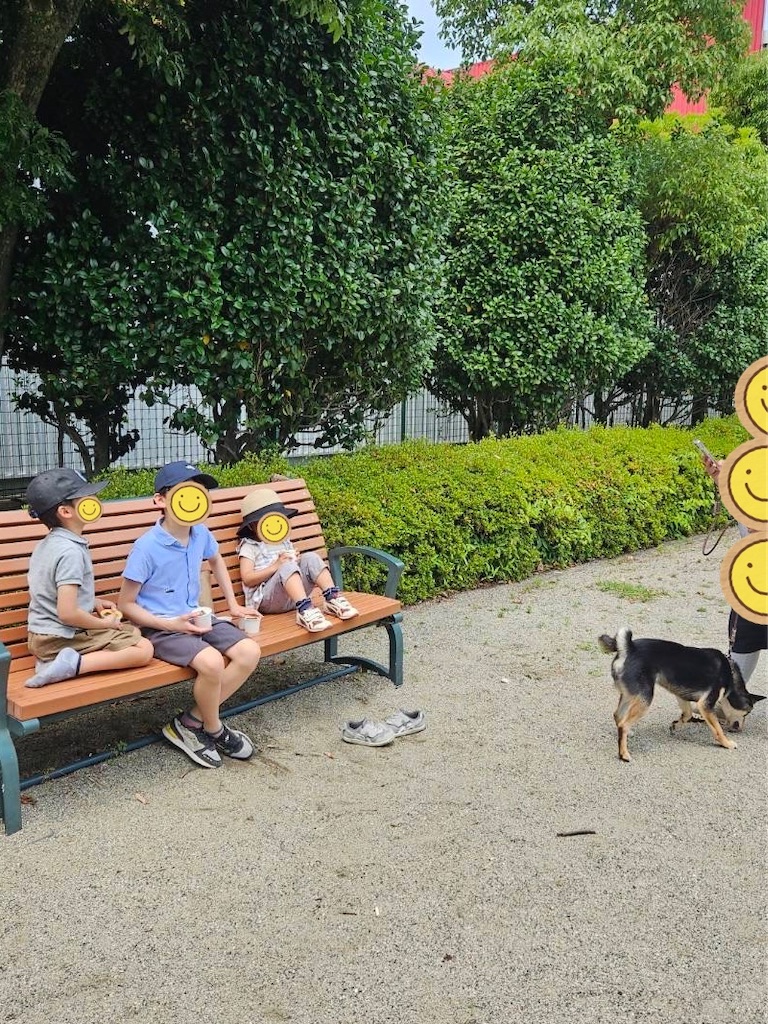 f:id:keikostyle:20240616152626j:image